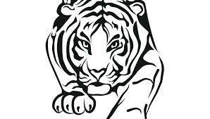 prowling tiger black/white